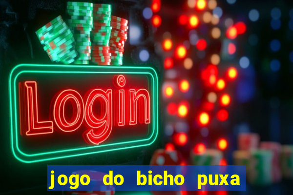 jogo do bicho puxa de dona maria